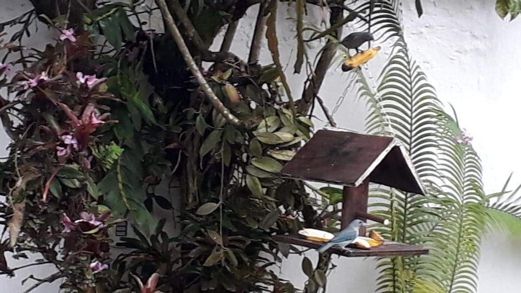 Suites Beija-Flor Araquari Kültér fotó