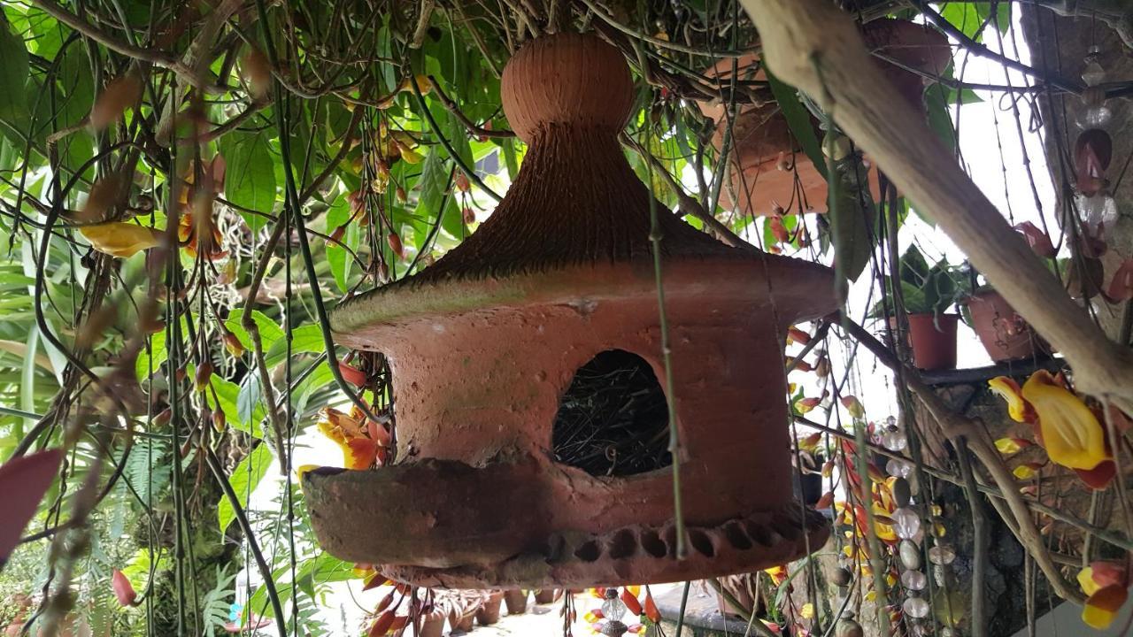 Suites Beija-Flor Araquari Kültér fotó